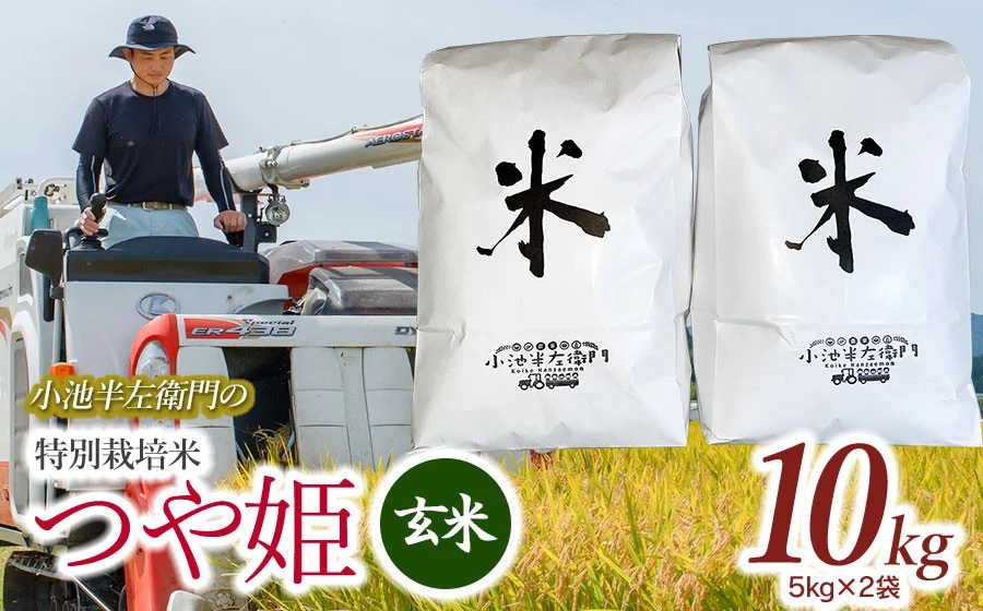 数量限定 【令和7年産先行予約】 山形県庄内産 小池半左衛門のお米 特別栽培米 つや姫 玄米 10kg (5kg×2袋)