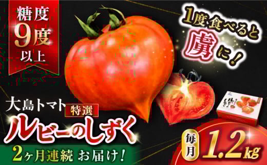 トマト 高糖度 【2026年3月より配送開始】【2回定期便】糖度9度以上！大島 トマト 特選「 ルビーのしずく 」約1.2kg＜大島造船所農産G＞ [CCK030] 長崎 西海 トマト とまと 大島トマト 高糖度 贈答 野菜 甘い 人気 トマト 高評価 定期便 新鮮