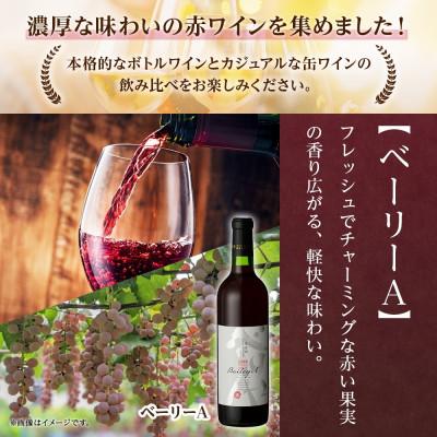 ふるさと納税 笛吹市 【熨斗】 赤ワイン 3種 9本 飲み比べ 瓶1本・缶2種8本セット モンデ酒造 山梨県 笛吹市 |  | 01