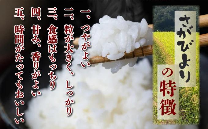 年内発送 12/25まで 特選米100%!令和7年産さがびより(精白米) 5kg 【B-1184-V】