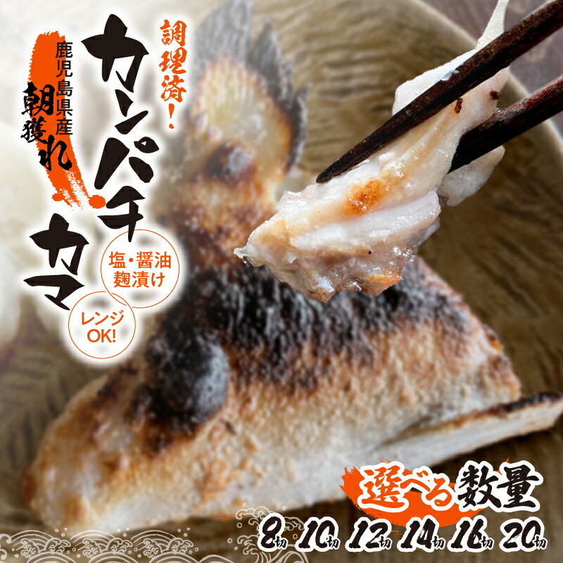 【ふるさと納税】＜選べる＞調理済み カンパチカマ塩 醤油麹（こうじ）漬け 8切 ～ 20切 焼タイプ 魚 海産物 魚介 カンパチ カマ 焼き 味付き レンジ 調理済み おかず 晩酌 冷凍 国産 鹿児島産 錦江の恵屋 鹿児島 鹿屋市 おすすめ ランキング プレゼント ギフト