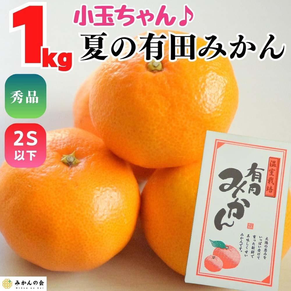 【ふるさと納税】【5月出荷予定】小玉ちゃん ハウスみかん 温室栽培 夏の有田みかん 1kg 秀品 2Sサイズ以下 和歌山県 産地直送 みかんの会 | フルーツ 果物 くだもの 食品 人気 おすすめ 送料無料