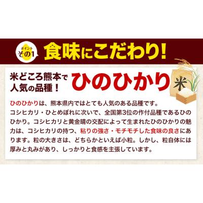 ふるさと納税 氷川町 令和7年産 無洗米 【隔月6回定期便】 ひのひかり 10kg《お申込み翌月から出荷》