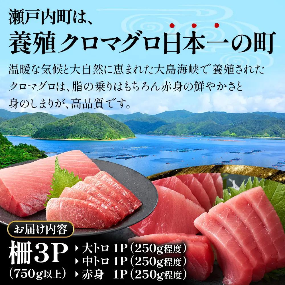 クロマグロ 黒マグロ 3柵セット 750g以上 大トロ 中トロ 赤身 冷凍 奄美大島産養殖