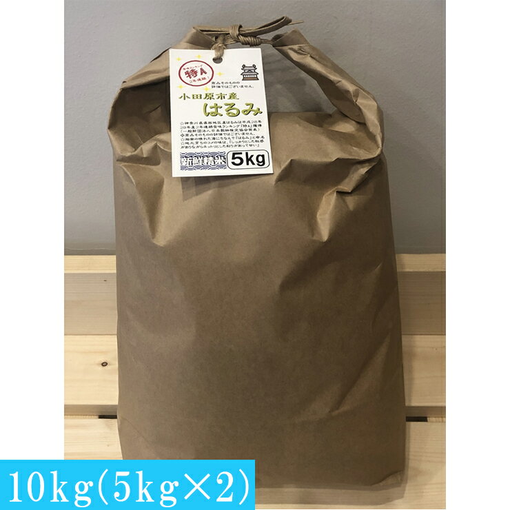 【ふるさと納税】志村屋米穀店 令和7年産小田原市産　はるみ　10kg（5kgx2）【おこめ 米 コメ こめ はるみ 特A 贈答用 ご家庭で 贈り物 クラフト袋入り 神奈川県 小田原市 】