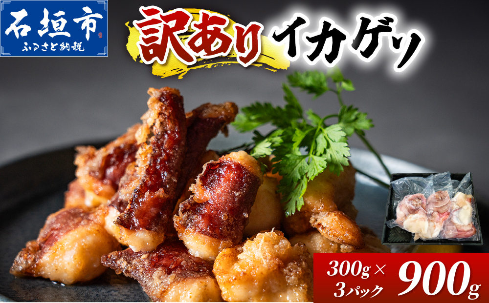 ＜訳あり＞ 石垣島産 セーイカの極上げそ 300g×3パック 加熱用 ※3～5月出荷不可※ | イカ セーイカ ソデイカ げそ ゲソ イカゲソ いかげそ 逸品 沖縄県 石垣島 訳あり 900g (30