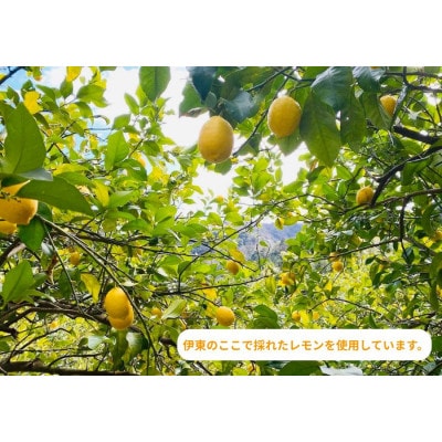 ギフト包装:伊豆産レモンのドライフルーツと胡桃のハチミツ漬け【1677021】