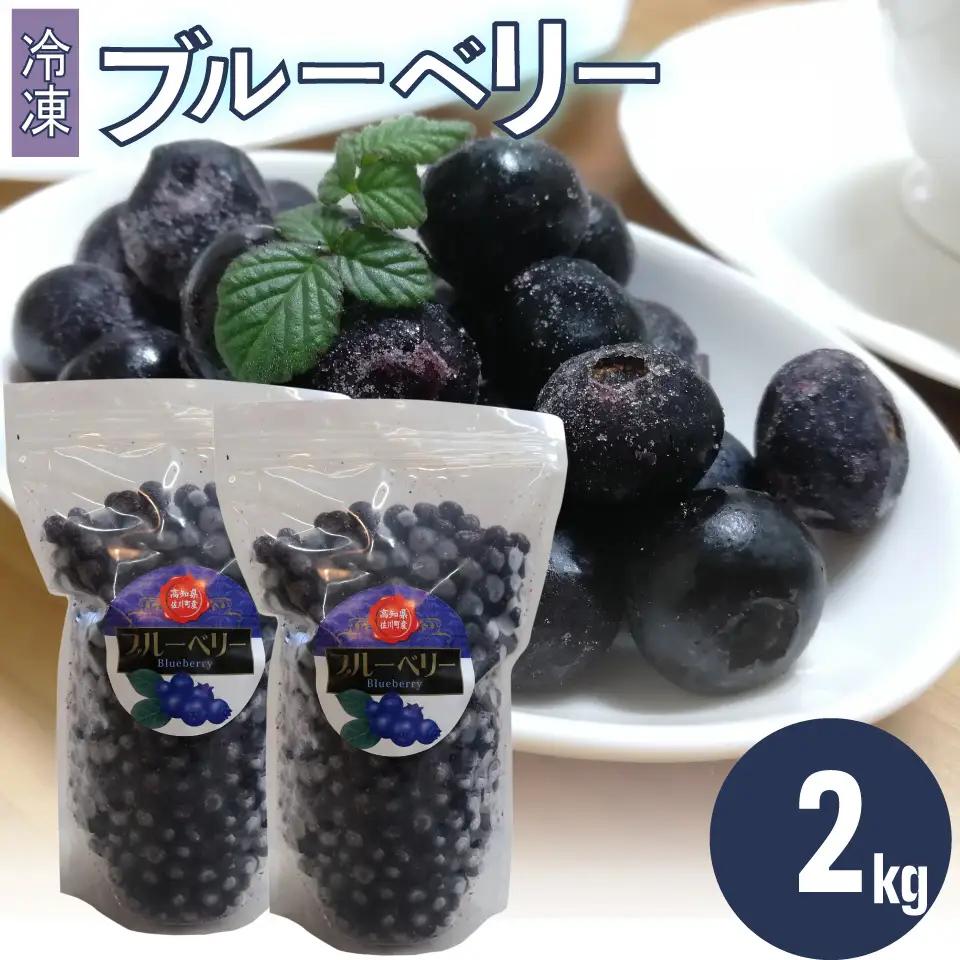 【ふるさと納税】＜ブルーベリー(冷凍) 2kg＞高知県 佐川町 果物 フルーツ 国産 【冷凍】冷凍ブルーベリー ＜4～6ヶ月程度で発送＞