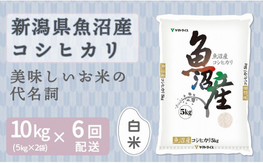 
                  【定期便全6回】新潟県魚沼産コシヒカリ10kg（受注の翌月から毎月配送）｜新潟県　新潟　魚沼　こしひかり　米　おこめ　お米
                