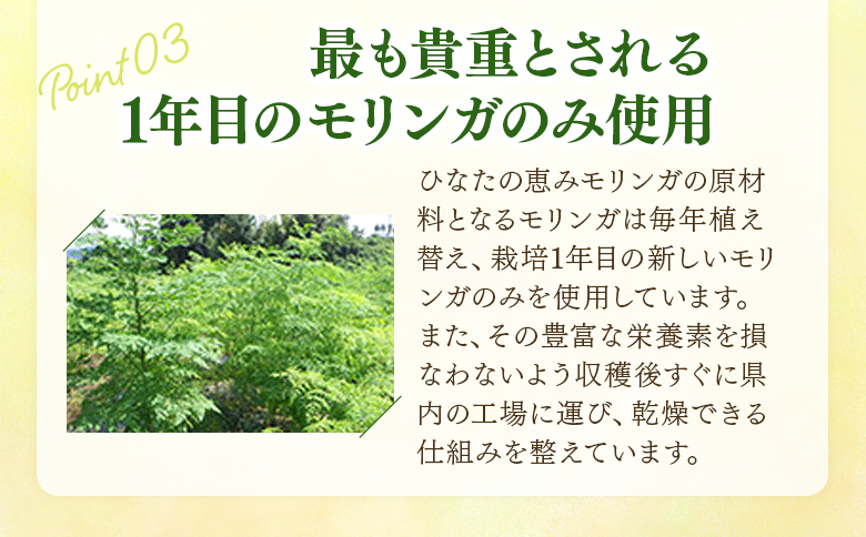 ＜ひなたの恵みモリンガタブレット 3袋（1袋150錠入）＞ 宮崎県三股町産モリンガ使用 美容 健康 簡単 気軽 仕事 職場 旅行 常備 つなぎ不使用 スーパーフード 国産 九州産 JAS認定工場製造 