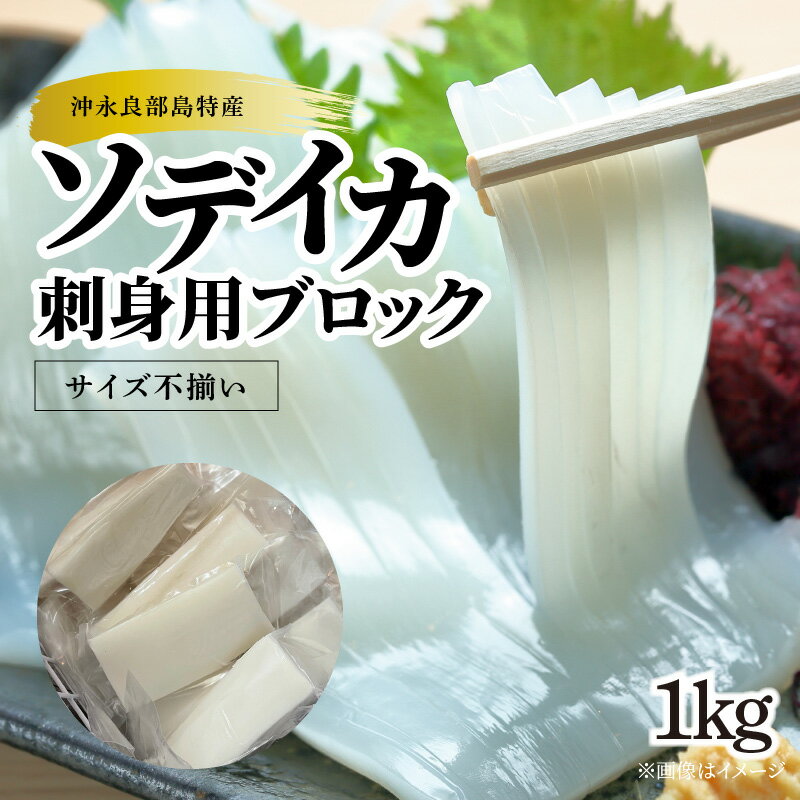 【ふるさと納税】【サイズ不揃い】 ソデイカ 刺身用 ブロック 1kg 沖永良部島特産 イカ 烏賊 海産物 海鮮 甲殻類 魚介 ぷりぷり 美味しい 甘い 新鮮 おいしい 天然 沖永良部島 お刺身 天ぷら イカ焼き まるとよ農産 鹿児島県 和泊町 おすすめ ランキング プレゼント ギフト