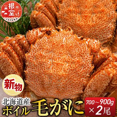 ふるさと納税 根室市 根室海鮮市場<直送>ボイル毛がに700〜900g×2尾 D-28055