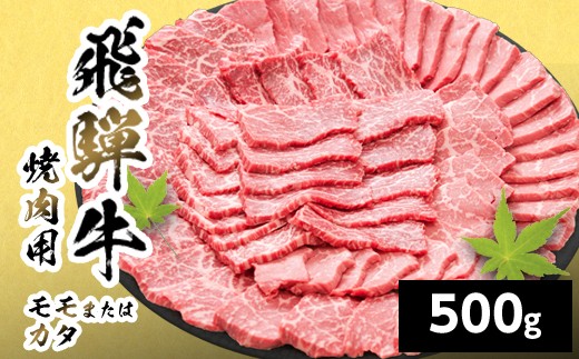 
                  【最短発送】 飛騨牛 モモまたはカタ 焼肉用 赤身 500g 岐阜県産 詰め合わせ 黒毛和牛 もも かた 赤身 牛肉 牛 国産 お取り寄せ 自宅用 和牛 最短発送 養老ミート
                
