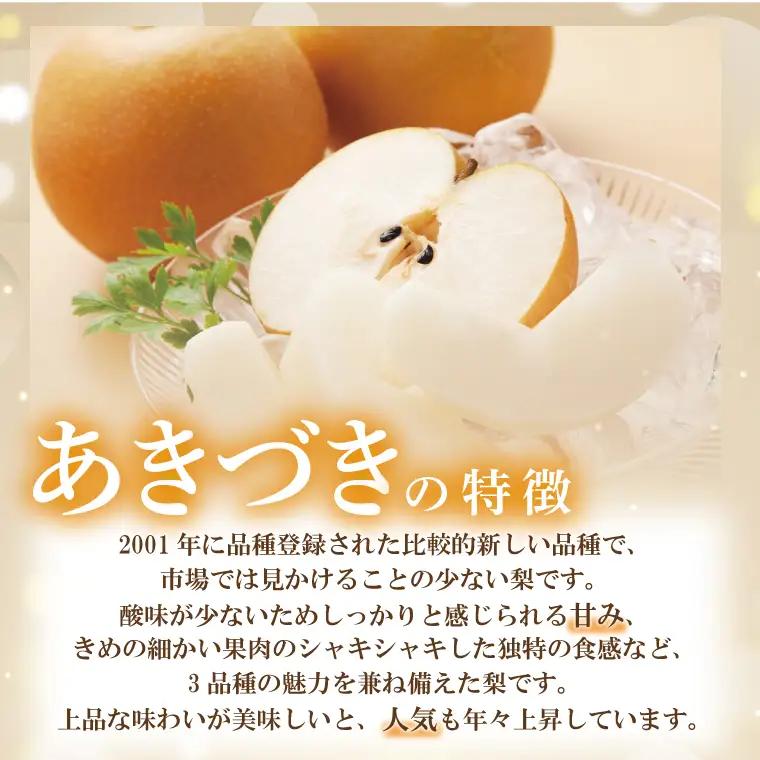 【先行予約】【数量限定】あい farm の梨 あきづき3kg (4～8玉)  (DQ012)
