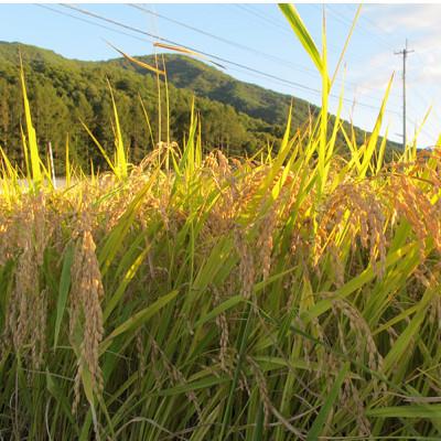 ふるさと納税 南会津町 米と味噌さえあれば生きていける!南会津産ひとめぼれ5kgとあやこがね味噌1kgのセット |  | 03