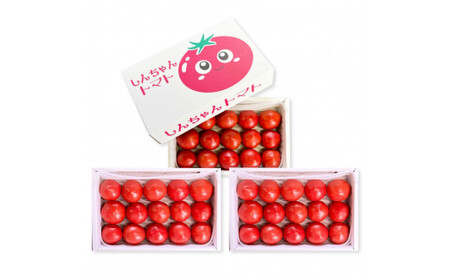 【先行予約】糖度9度以上 フルーツトマト しんちゃんトマト 約2.25kg (小～大玉サイズ　10～20個：750g×3箱) 〈2027年2月〜発送〉トマト 高糖度 高知県産 ふるーつとまと 野菜 や