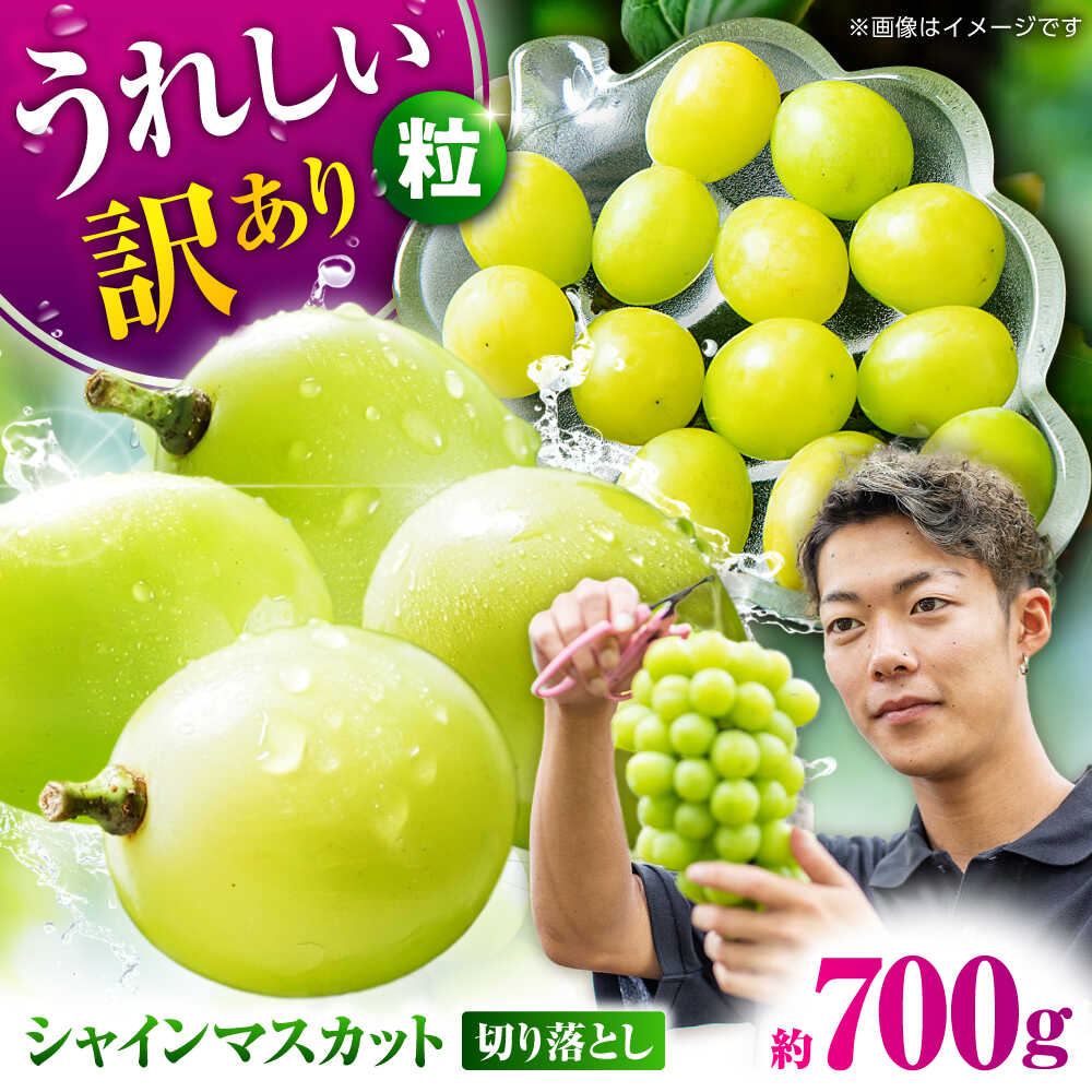 【ふるさと納税】【先行予約】 訳あり シャインマスカット 切り落とし 約700g 【合同会社 社方園】[ZBZ038]