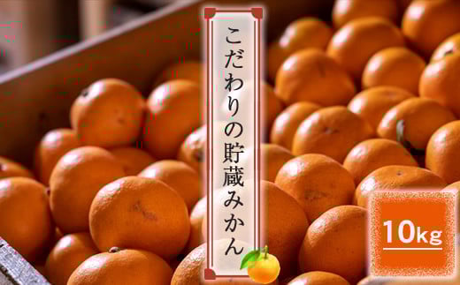 
            ＜品種厳選＞こだわりの貯蔵みかん　10キロ＜2025年12月20日出荷開始～2026年2月28日出荷終了＞【 みかん 神奈川県 小田原市 】
          