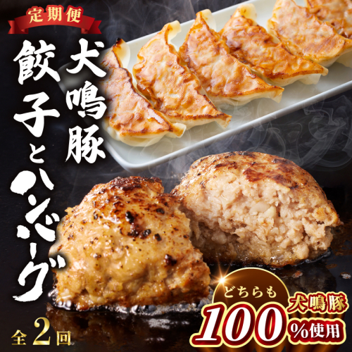 【泉佐野ブランド豚】犬鳴豚餃子 75個／手作りプレミアムハンバーグ（10個入り） 全2回【国産 豚肉 ぶたにく 定期便 食べ比べ 犬鳴ポーク 焼くだけ 人気 総菜 冷凍】 099Z592