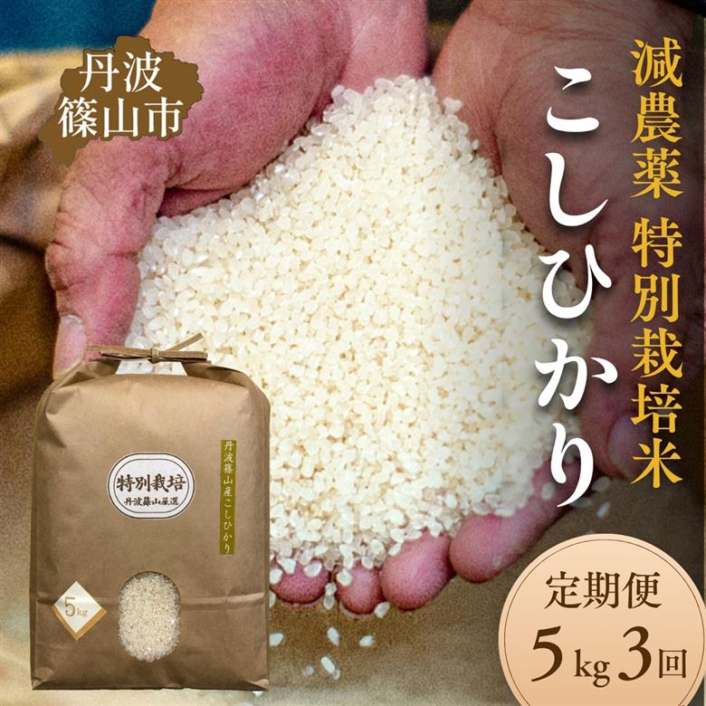 【定期便】令和7年産 丹波篠山 コシヒカリ 特別栽培米 5kg×3回お届け 低温貯蔵 香り良い 美味しいお米 国産米 白米 丹波篠山