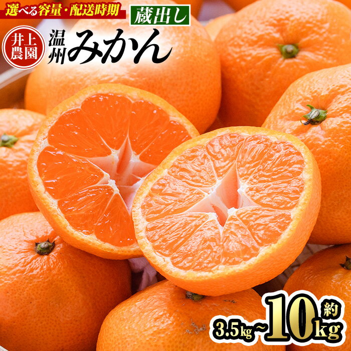 【ふるさと納税】蔵出しみかん (約3.5kg・5kg・10kg) みかん ミカン 蜜柑 柑橘 フルーツ 果物 くだもの 果実 国産 熟成 大分県宇佐市産 ＜1月上旬以降順次発送＞＜数量限定＞＜容量・配送時期が選べる＞【103600800・103600401・103600900】【井上農園】