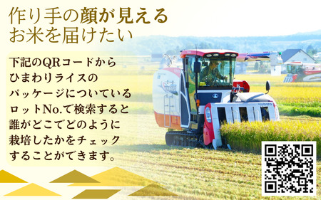 白米 ゆめぴりか 10kg 新米 予約 / お米 北海道 ※10月より順次発送 【sun400-yume-r10-R7】