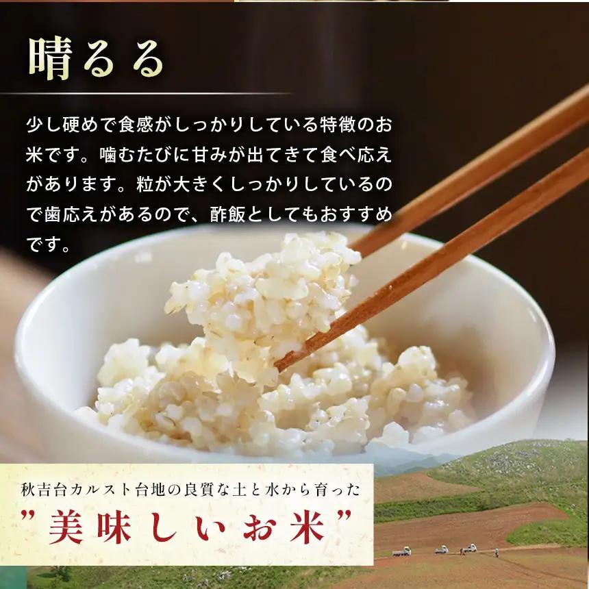 令和8年度産 新米 晴るる 玄米 20kg 村上農園 先行予約 ＜ 2026年9月下旬より11月末まで順次発送 ＞ 