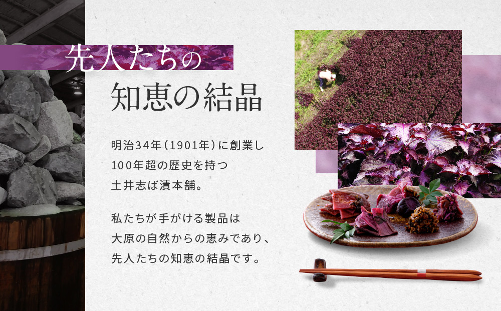 【土井志ば漬本舗】大原の里京漬物6種6点詰め合わせ W-15｜京都 漬物 有名店 人気セット［ 大原 老舗 漬物 詰め合せ セット 志ば漬きざみ 志ば漬醤油味 志そ漬きゅうり すぐききざみ はりはり漬
