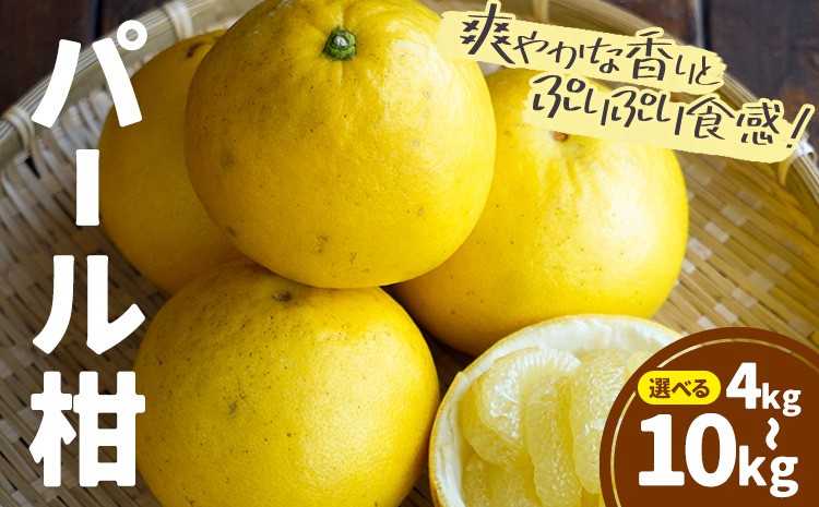 
            パール柑 選べる 約4kg 約10kg 都呂々みかん生産者グループ《2026年3月上旬-4月中旬頃出荷予定》熊本県 苓北町 みかん 果物 フルーツ
          