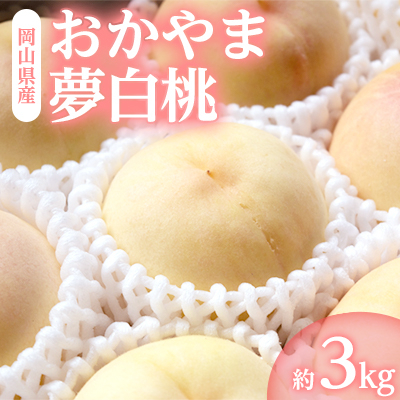 
            岡山県産「おかやま夢白桃」約3kg|7月下旬頃～順次発送【1488993】
          