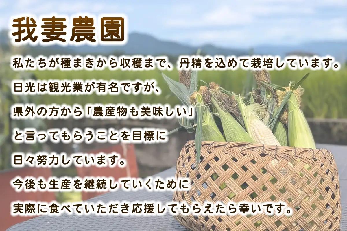 [先行予約] 生でも食べられる白いトウモロコシ「白い恵み」10本から12本／約4,5kg [0720]