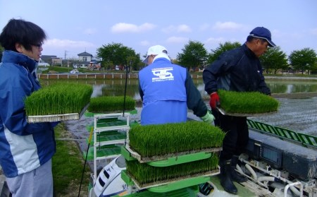 特別栽培米 コシヒカリ5kg 新潟県認証 令和7年 三条市 コシヒカリ アグリ巧房