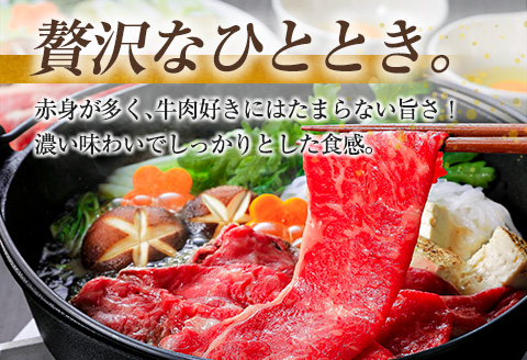 宮崎牛 肩（ウデ）すき焼き用（500g×2パック）計1kg ※ご入金月の翌月中に出荷【C381】