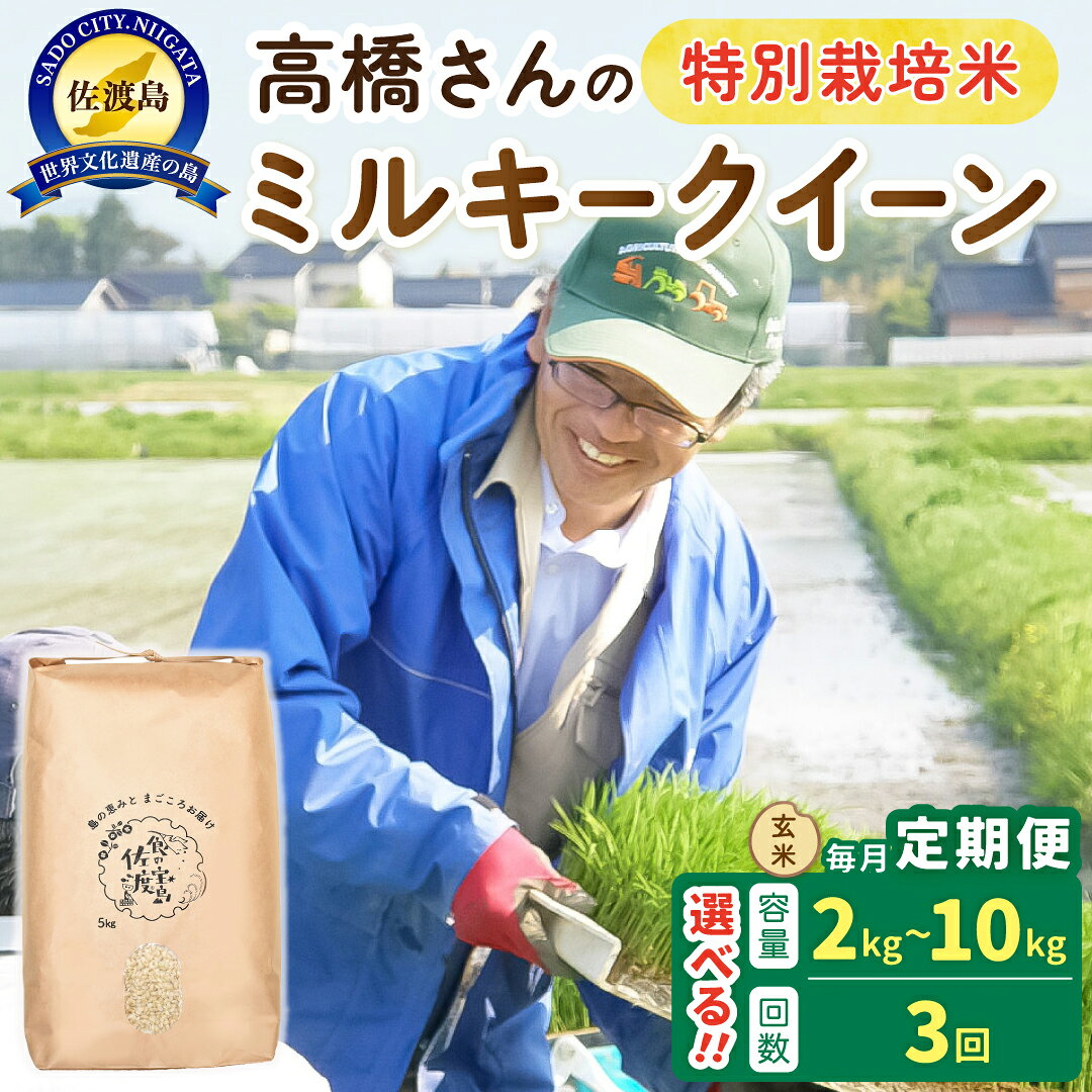 【ふるさと納税】玄米 ミルキークイーン 新潟 2kg 5kg 10kg 選べる容量 定期便 全3回 令和8年産 特別栽培米 高橋農園 佐渡島産 もちもち 産地直送 新潟県産 米 こめ コメ ブランド米 2キロ 5キロ 10キロ おすすめ お取り寄せ ごはん おにぎり お弁当 新潟県 佐渡市