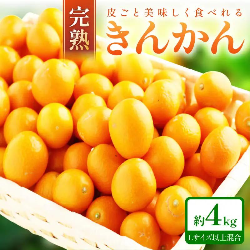完熟きんかん/金柑 4kg 秀品 Lサイズ以上≪先行予約2027年2月頃より順次発送分≫【0375-5】