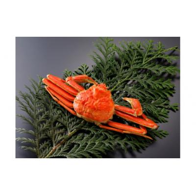 ふるさと納税 米子市 鳥取県産 訳あり茹で松葉がに　大1枚足1本無し |  | 01