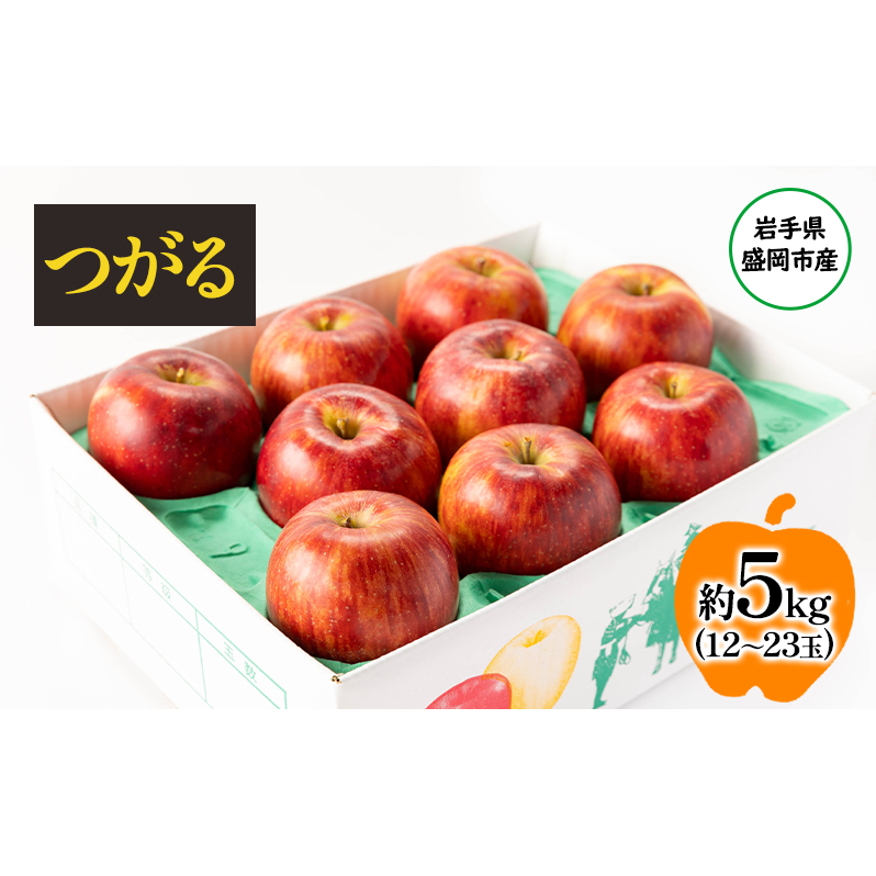 【8月から発送】 りんご 盛岡から「農で人をつなぐ」藤与果樹園： つがる 約5kg 12～23玉 玉数指定不可 詰め合わせ 岩手 盛岡