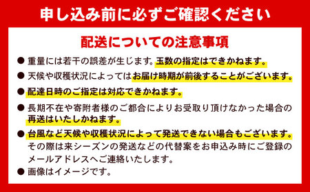 マンゴー 【2026年発送】訳あり 完熟マンゴー 約3kg (3-6玉×2箱) BCAA003