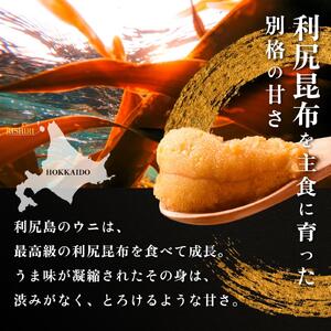 【2026年発送受付】利尻産「朝どり」生うに 食べ切り塩水パック50g×2（ムラサキウニ）【6~8月発送分】｜北海道 朝獲れ 塩水 ウニ 無添加 ミョウバン不使用 生 うに 雲丹 国産 天然 利尻 キ