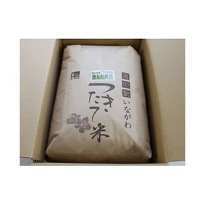 【2ヵ月毎定期便】猪名川町のお米コシヒカリ(玄米)10kg×全6回【4013564】