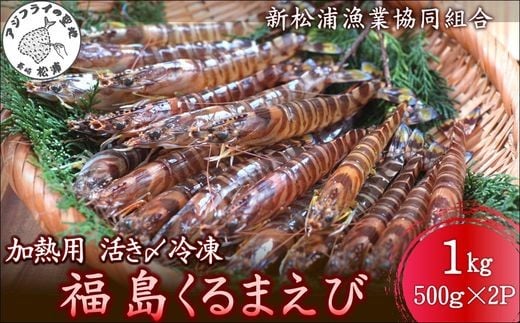
            加熱用 活き〆冷凍福島くるまえび1kg(500g×2パック)( 車エビ クルマエビ くるまえび えび エビ 海老 加熱用 )【C0-098】
          