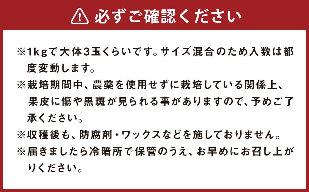 環境マイスターのスイーティー （オロブロンコ） 良品・訳あり混合 5kg【2024年12月上旬～2025年2月下旬順次発送】 果物 くだもの フルーツ