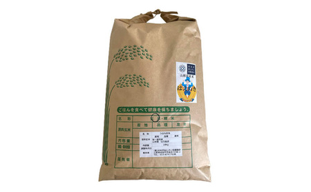 【令和8年産新米先行予約】山形市村木沢産 はえぬき(玄米) 20kg(10kg×2) FZ26-871