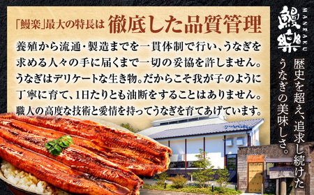 うなぎ 国産 蒲焼 3尾 うなぎ[480g以上]
