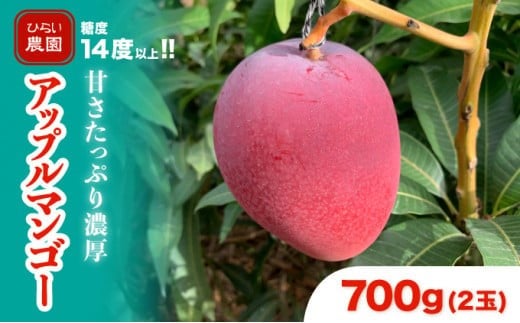 2026年 先行予約 アップルマンゴー 約700g 2玉 西表島ひらい農園 マンゴー 果物 フルーツ 約700g（2玉）
