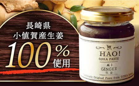HAO！ジンジャーシロップ 160g×2  [DAA015]