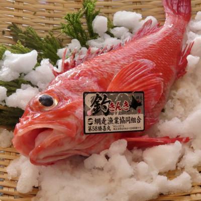 ふるさと納税 網走市 【網走産】釣きんき一夜干し　Sサイズ(約150g)×3枚セット
