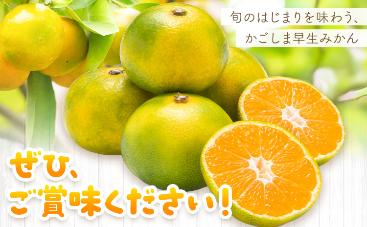 かごしま早生みかん L LL サイズ混合 10kg 田野農園《10月中旬-1月中旬頃出荷》鹿児島県 さつま町 早生 みかん 蜜柑 柑橘 果物 くだもの フルーツ ジューシー 送料無料