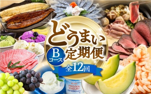 【海鮮コース】穂の国の恵み どうまい 定期便 全12回 Bコース 海鮮 ( 餃子 むき えび うなぎ おでん 鴨鍋 かも鍋 鮎 うなぎ メヒカリ ふぐ フグ メロン ジェラート フローズンヨーグルト ) ご当地 人気 名産品 頒布会 豊橋