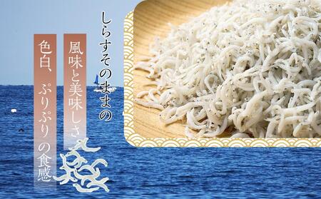 釜揚げしらす 1kg しらす 冷凍 しらす 小分け しらす 産地直送 しらす 魚 しらす さかな しらす ご飯 しらす ごはん しらす サラダ しらす パスタ しらす 卵焼き しらす お取り寄せ グル